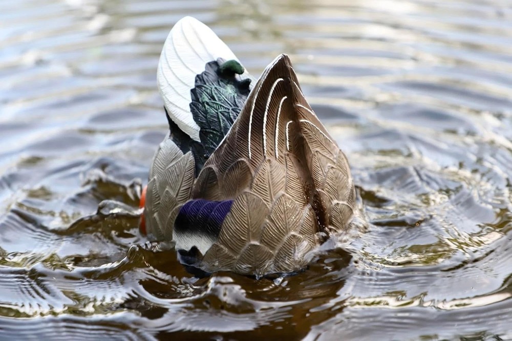 Mojo Butt Up Rippler, Mallard