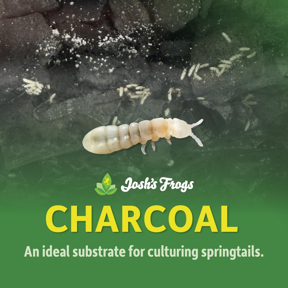 Charcoal (4 qt)