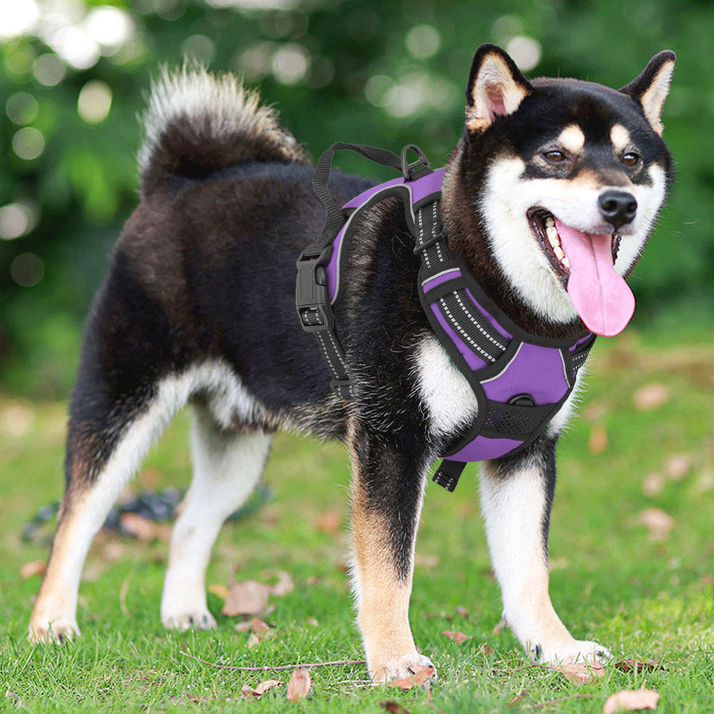 Comfortable Reflective No Pull Pet Dog Harness w/ Control Handle for Large Dogs