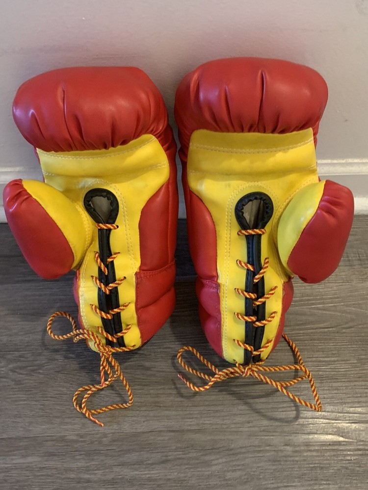 12 oz windy boxing gloves
