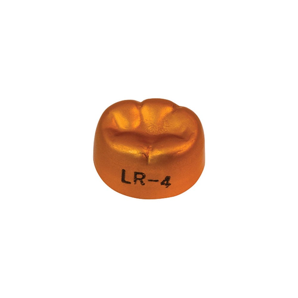 Dexiter Gold Anodized Temporary Crowns (1st Lower Right Molar)