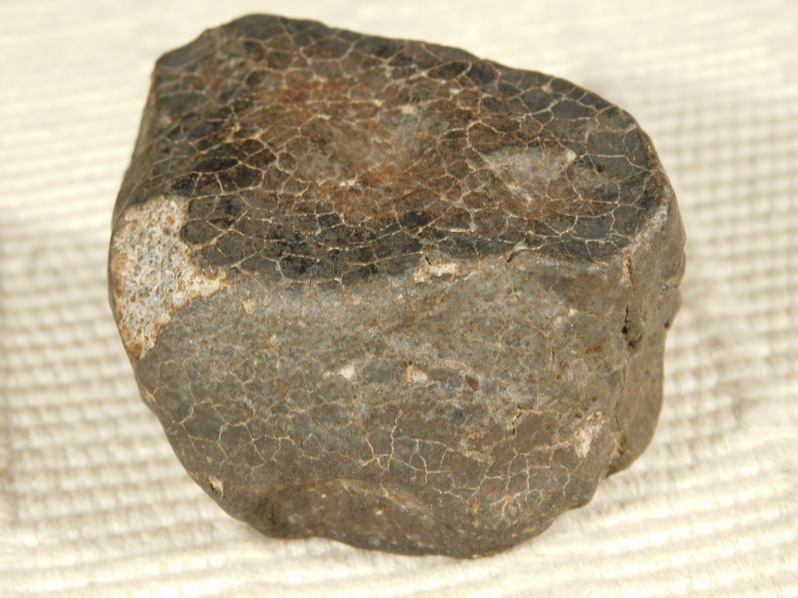 H6 Stony METEORITE Regmaglypts DARK Fusion Crust and Contraction CRACKS! 138gr