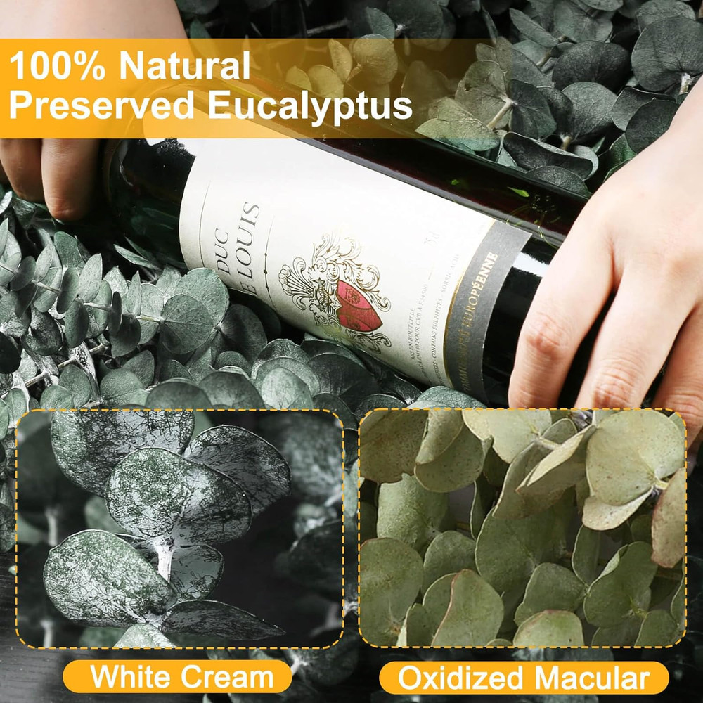 12 PCS Dried Eucalyptus Stems for Shower - 17" Preserved Eucalyptus Stems
