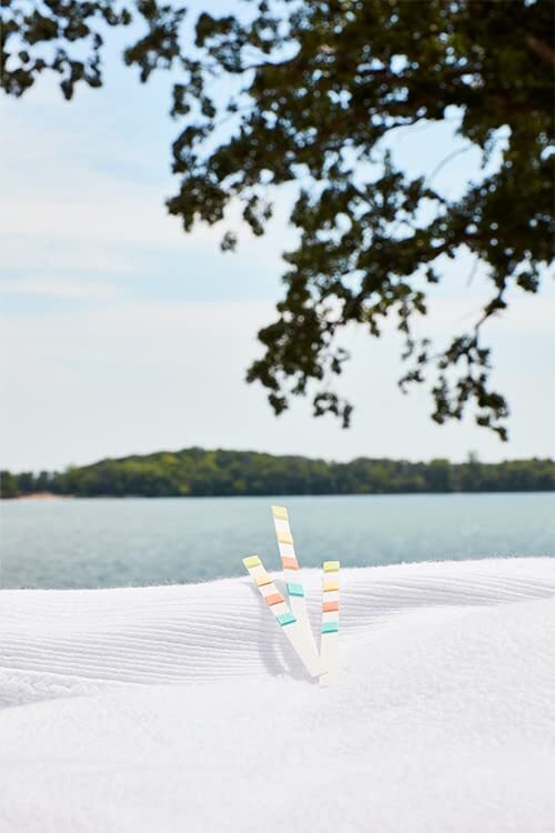 FROG @ease Test Strips for Hot Tubs for, Spas up to 600 gallons