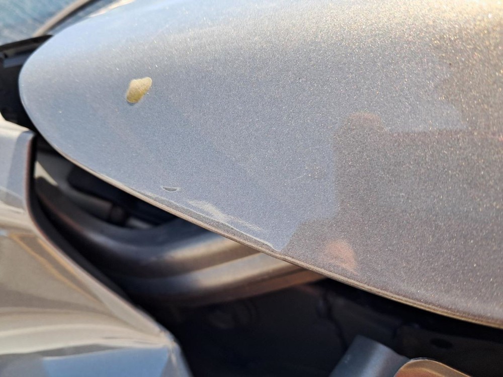 EQUINOX 2018 Glove Box 4785013