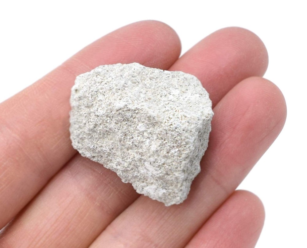 EISCO 6PK Oolitic Limestone, Sedimentary Rock Specimens - Approx. 1" -...