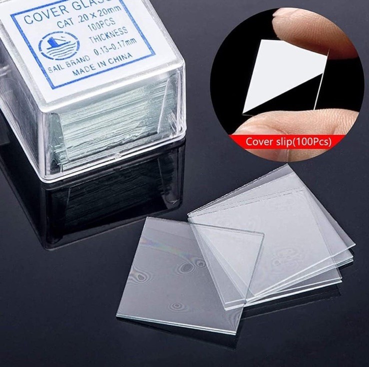 Microscope Slide and Cover Set (50 Ct.)