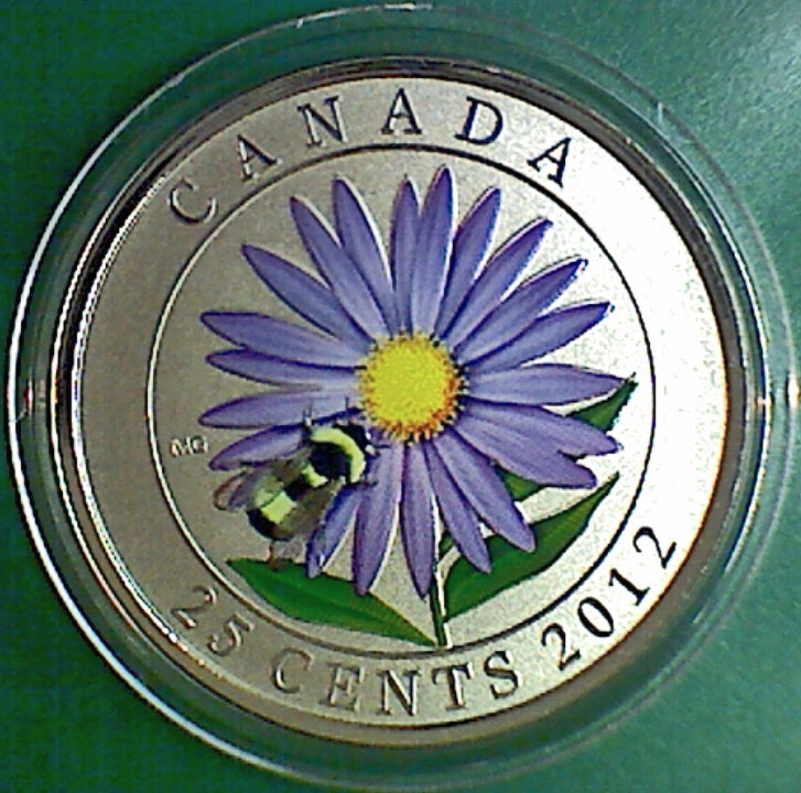 2012 CANADA 25 cent Coloured Coin - Aster & bumblebee - coin only