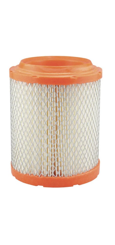 BALDWIN FILTERS RS10005 Air Filter, Radial