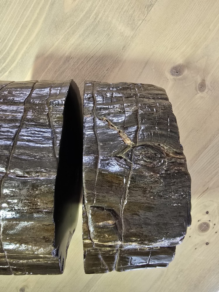 Petrified Wood Book Ends Glossed