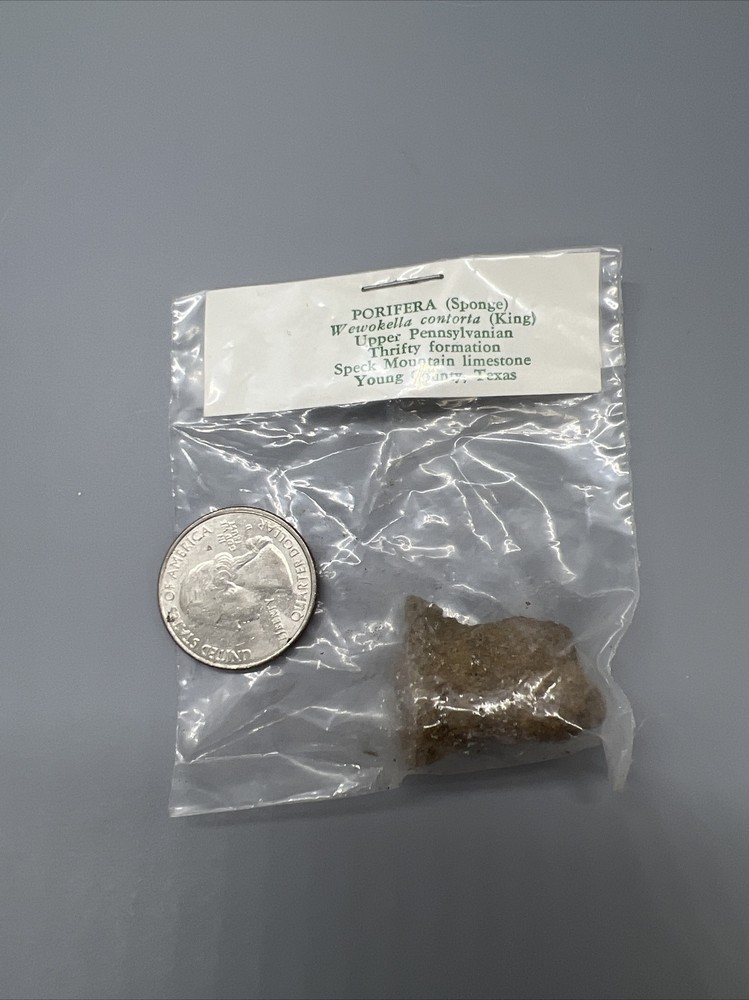 15-SPECIMEN MAJOR PHYLUM FOSSIL COLLECTION LABELED & SEALED