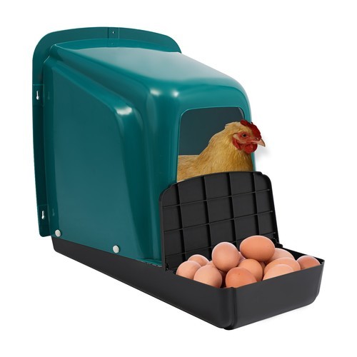 5-Pack Chicken Nesting Boxes for Secure, Comfortable Egg Laying