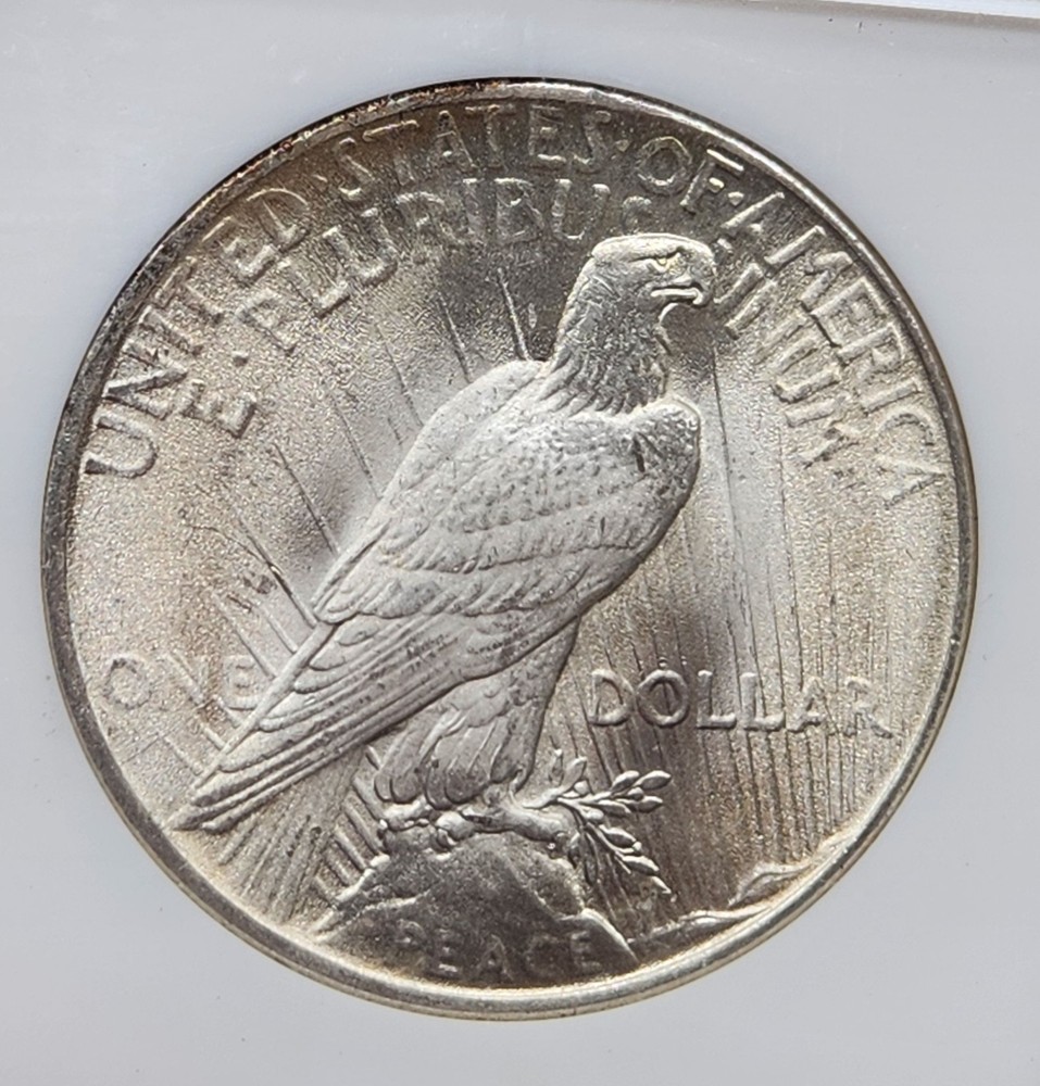 WPCoins ~ 1925 NGC MS-64 Peace Silver Dollar