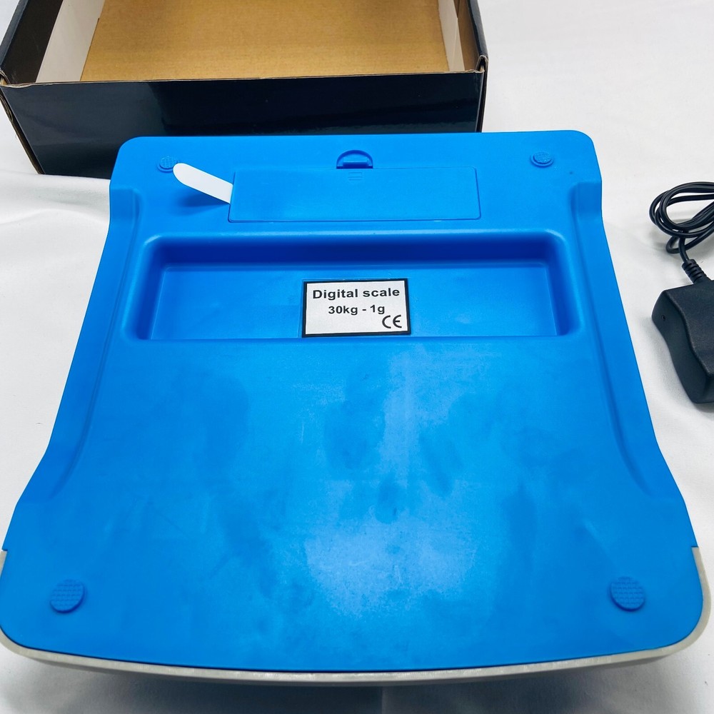 Rujixu 30kg Capacity Mini Electronic Price Computing Scale - DT-580