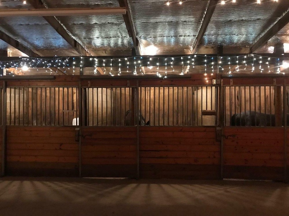 Reflective Foil Insulation Roll Double Bubble Reflectix 4FT X 4FT R8 (SECONDS)