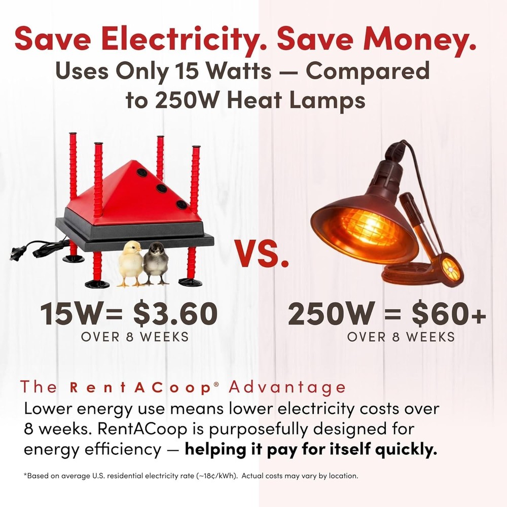 Safe 10x10” Adjustable Heating Plate for Poultry - Energy-Saving Chick Brooder