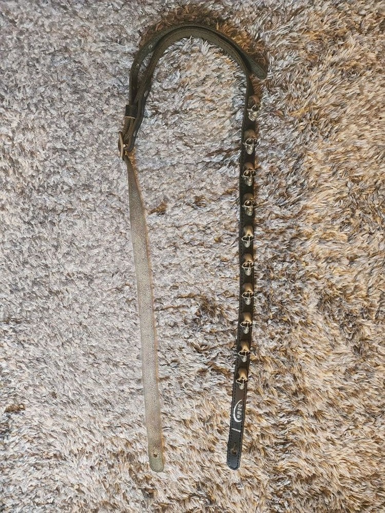 Guitar strap Fernandes B379 guitar bass effects strap