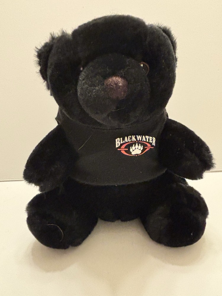 Blackwater Plush Teddy Bear Rare HTF