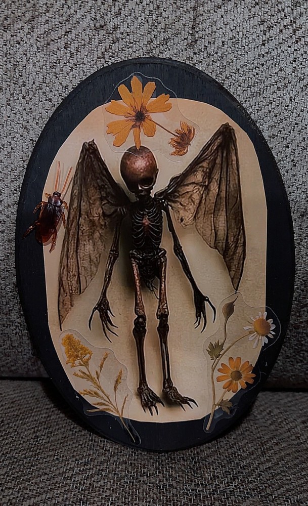 Fairy Skeleton Oddity Plaque Wall Decor Weird OOAK