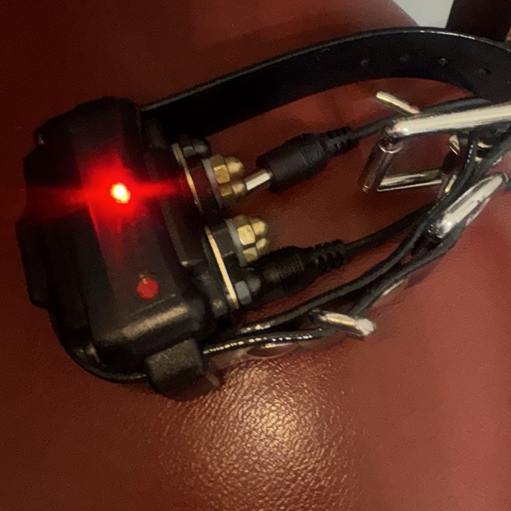 Dogtra iQ Plus e-collar Remote Trainer (read)