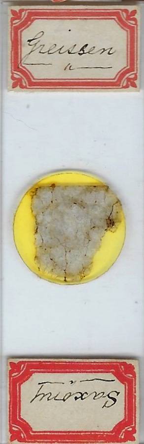 Gneiss from Saxony Petrographic Microscope Slide