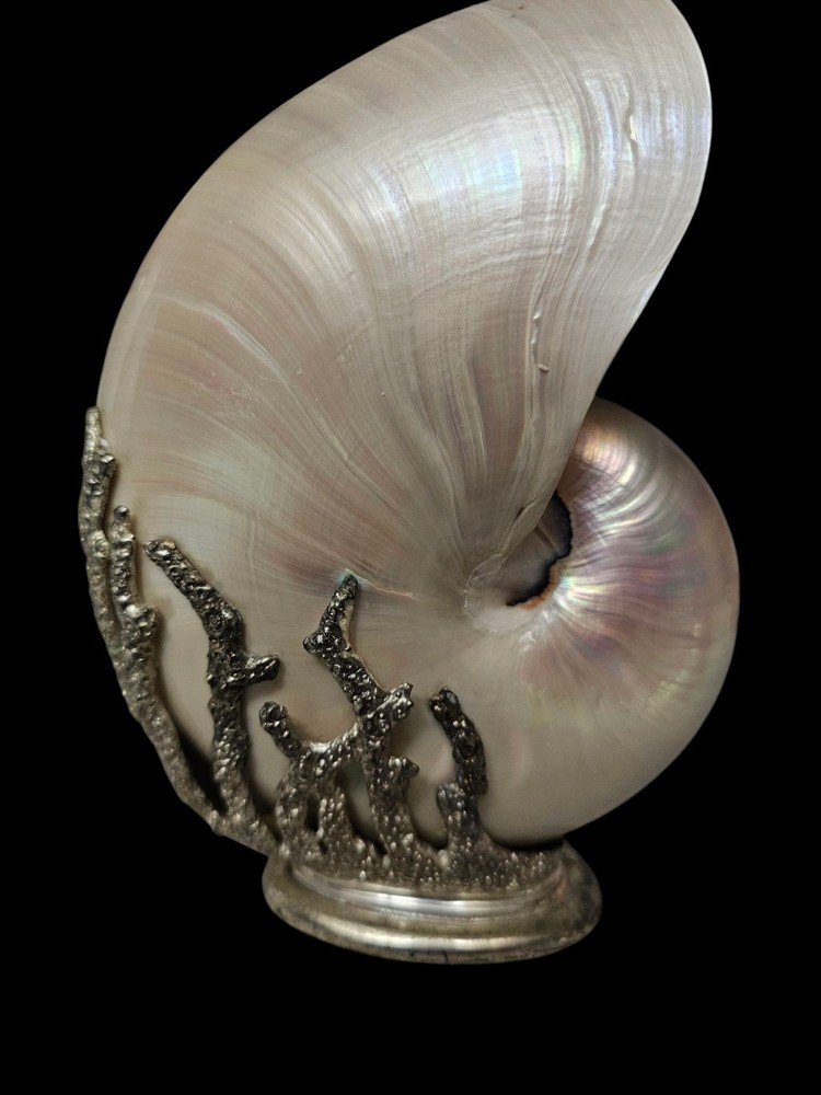 Decorative Silver Encased Chambered Nautilus sea shell