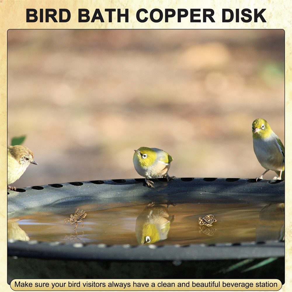3-Pack Bird Bath Copper Disk, Mini Bird Bath Copper Ornaments [Turtle]