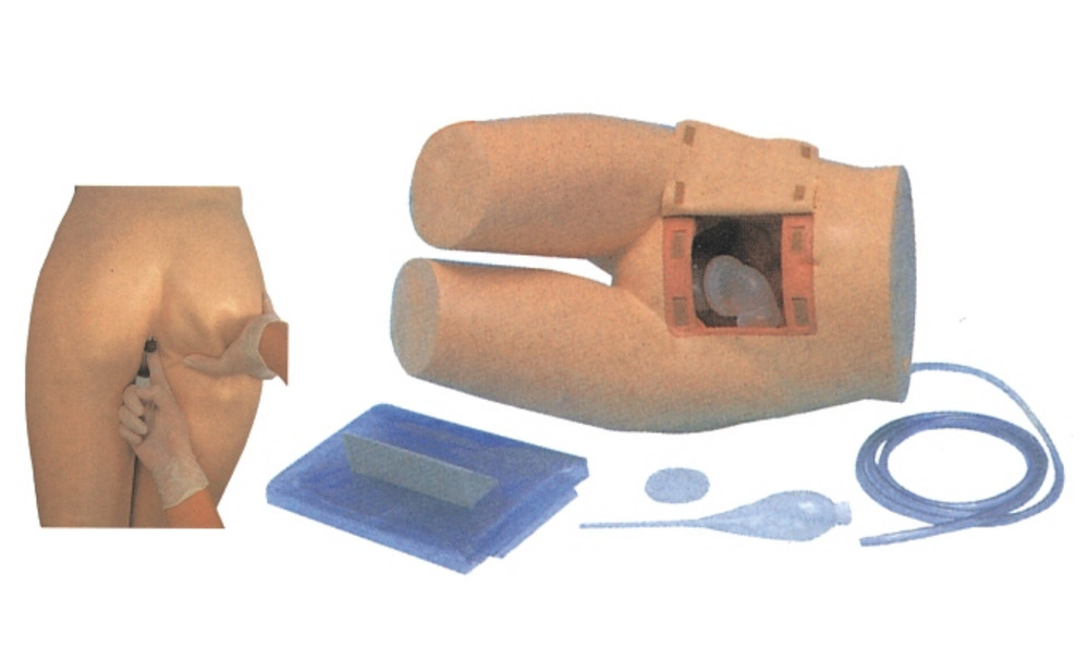 KAS/13 Enema and Assisted Defecation Training Model Display