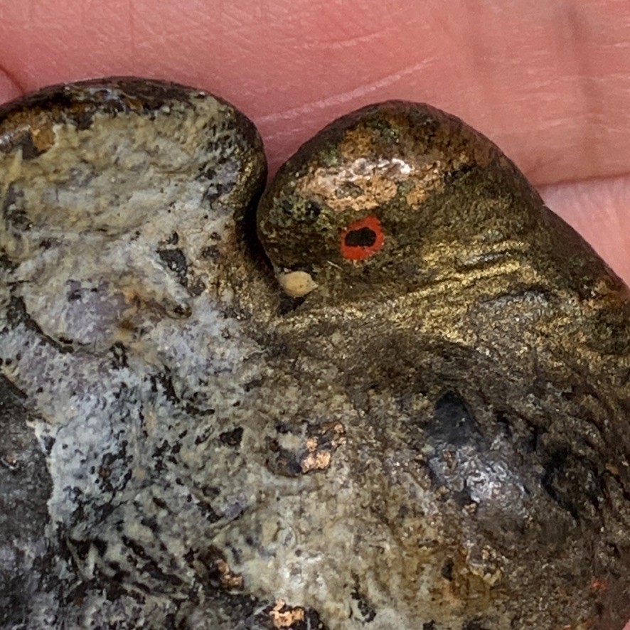 2 Lot Antique Vienna Austrian Cold Painted Bronze Pigeon Bird Figurine Preening