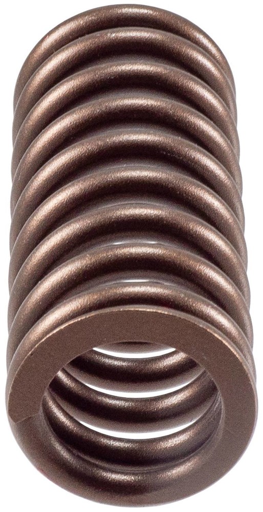 Engine Valve Spring-Stock Melling VS-2487