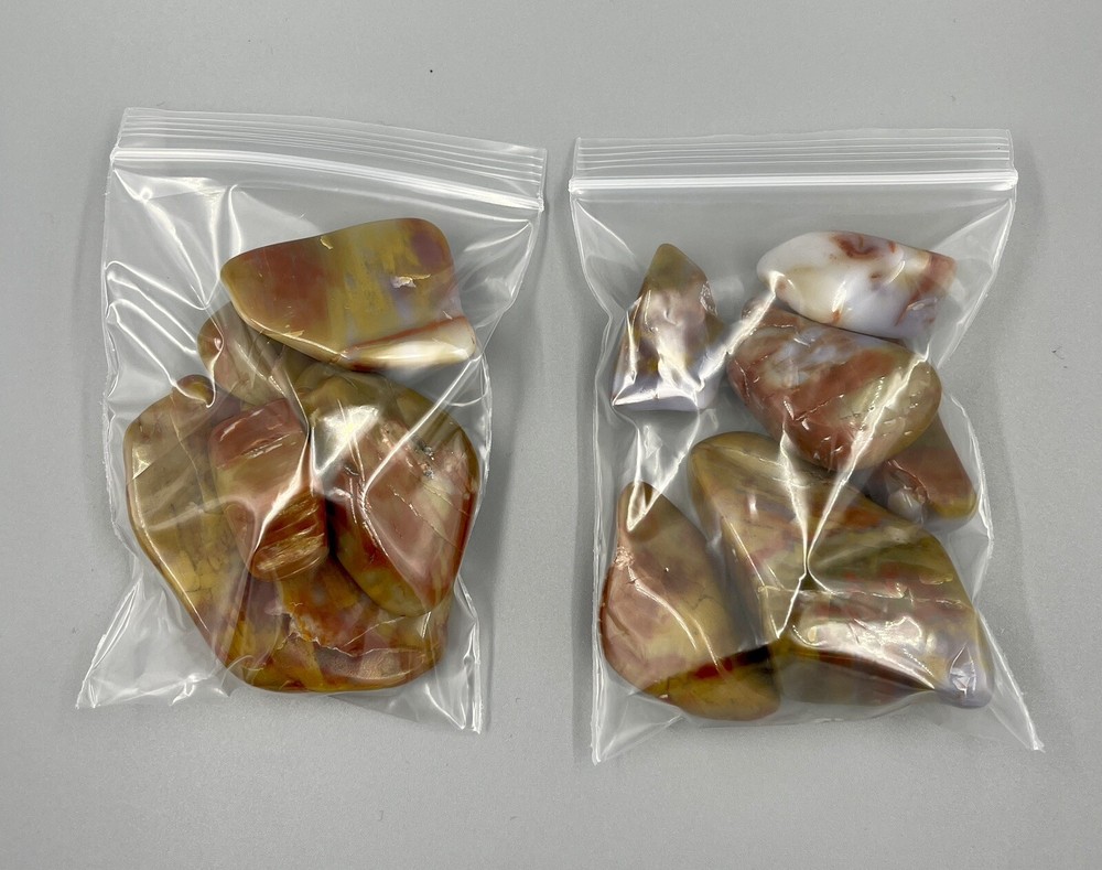 Polished Petrified Wood Assorted 9 Oz
