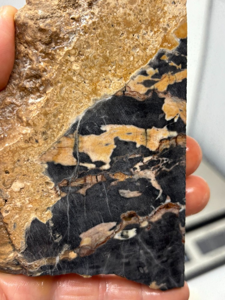 Large Roan Leopard Marble Rough Slab Cabbing Lapidary Combo Ship Avail