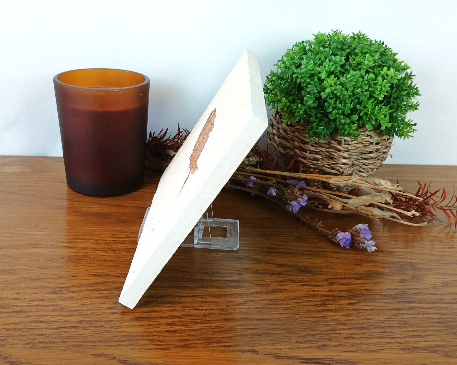 100% Genuine Knightia Alta Fish Fossil USA 180 x 130 x 10mm with Stand