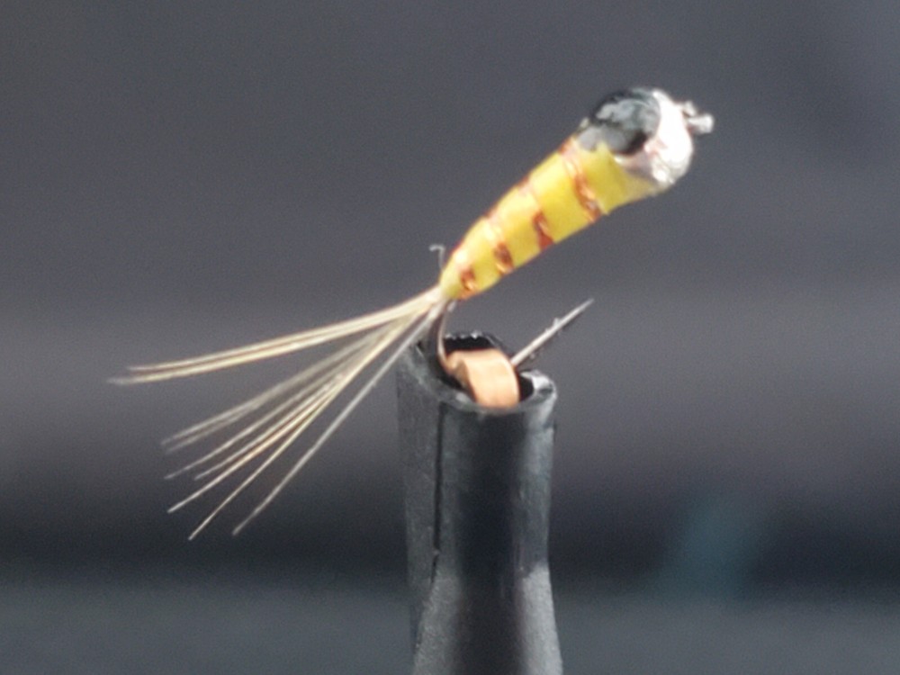 Tungsten Bead Perdigon Nymph, Perdigon Nymph Sulfur