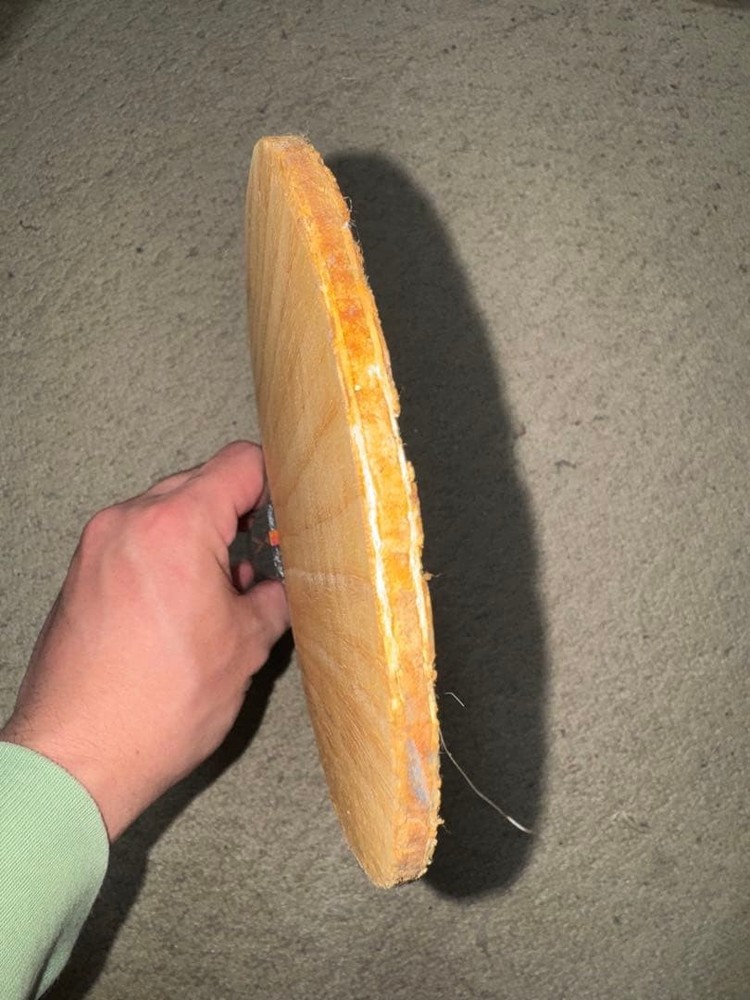 Ranunculus table tennis racket