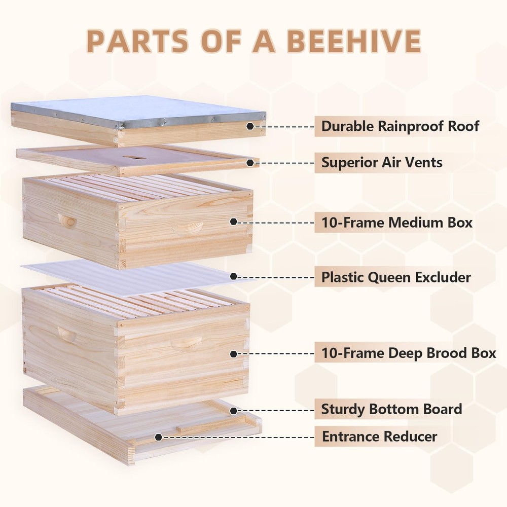 10 Frame Langstroth Beehives,Bee Keeping Starter Kit Includes 1 Deep Box & 1 ...