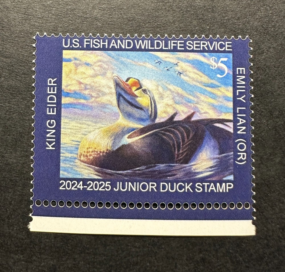 #JDS32 2024 - Junior Duck Stamp - MNH - Upside Down Inverted Text ERROR --
