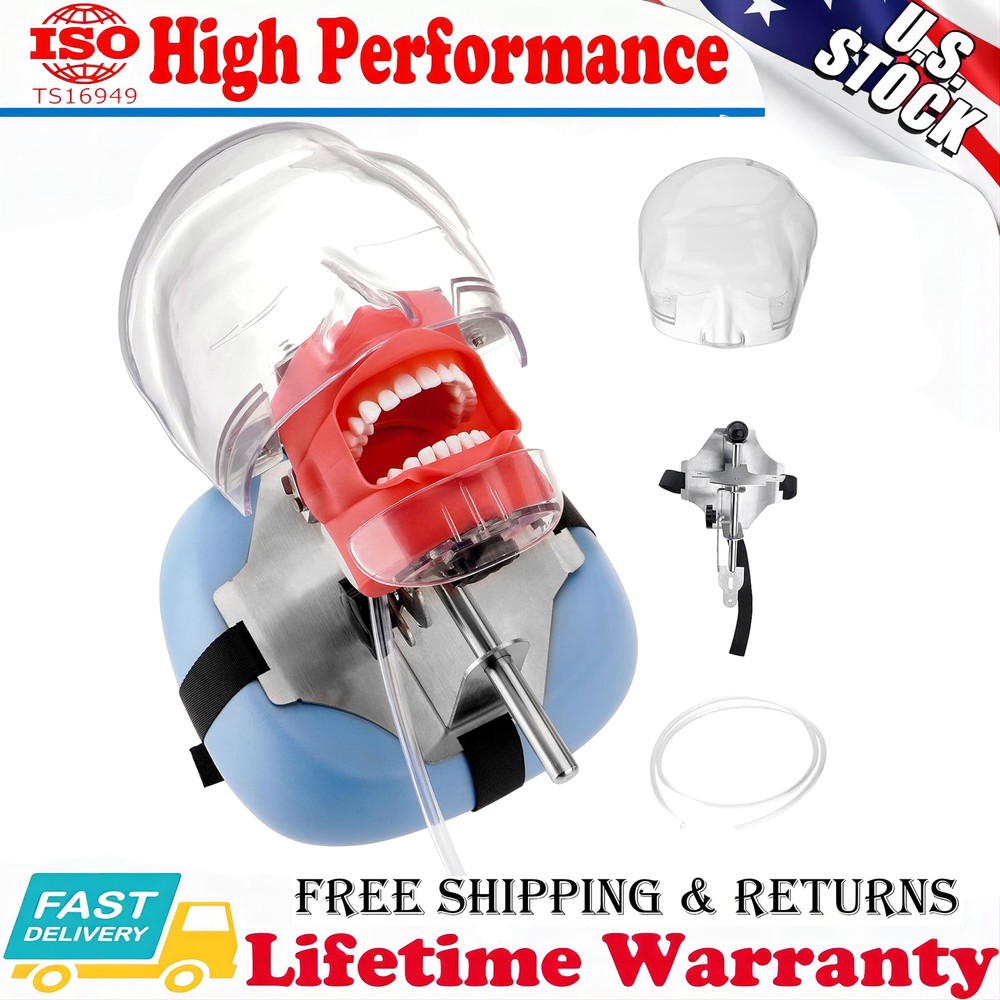 Dental Simulator Mannequin Head Teeth Model Teaching Practicing Head Mold Desk