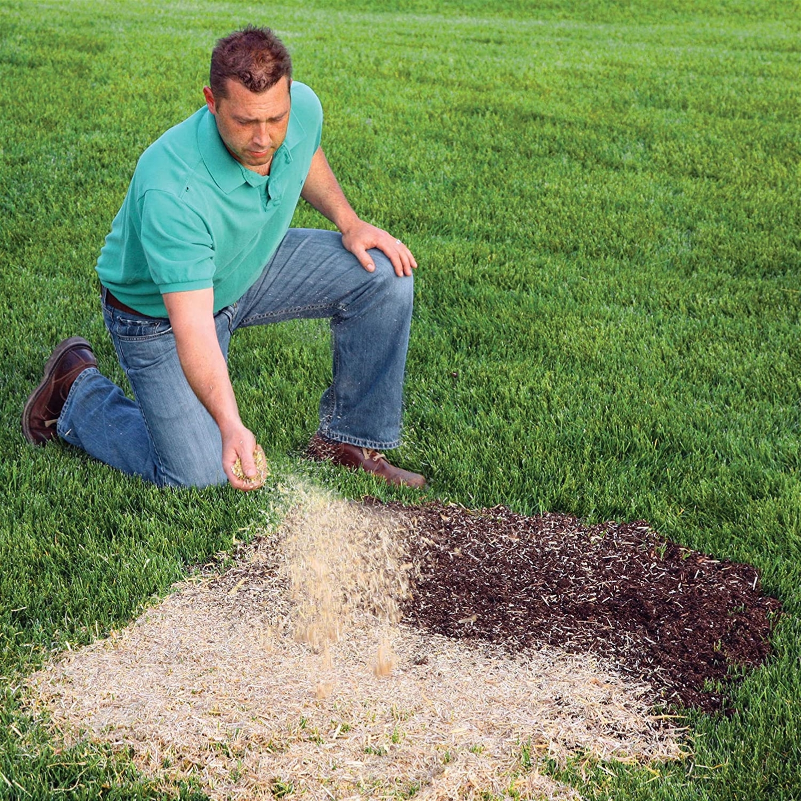 EZ Straw Seeding Mulch with Tack, 2.5 Cubic Feet (Pack of 1)