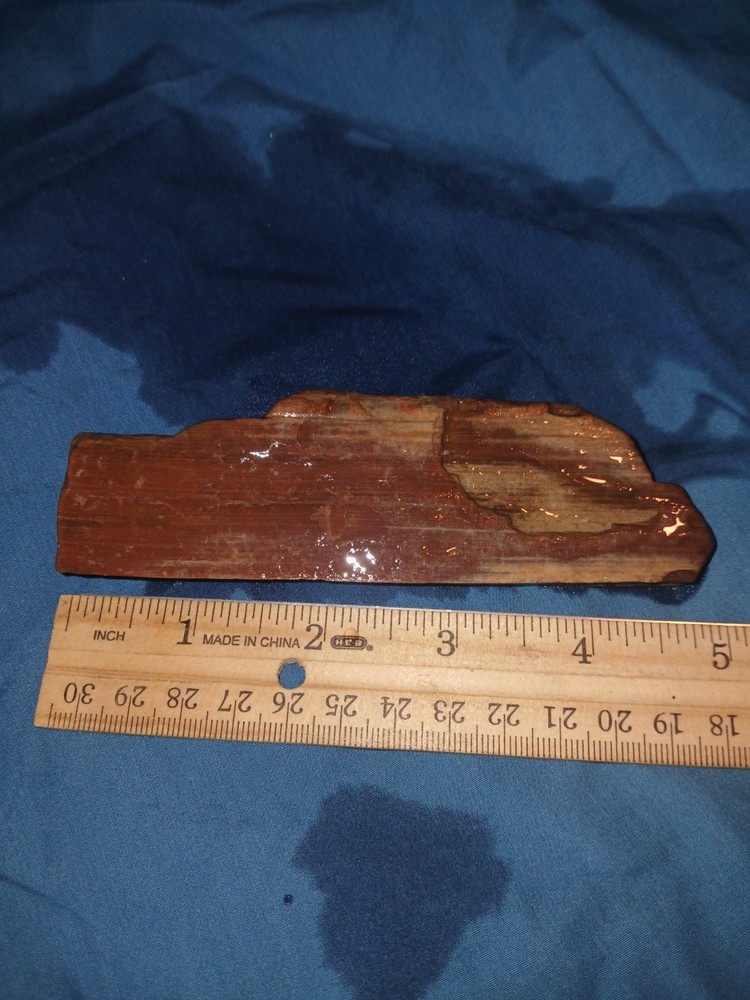 5 oz Agatized Petrified Wood