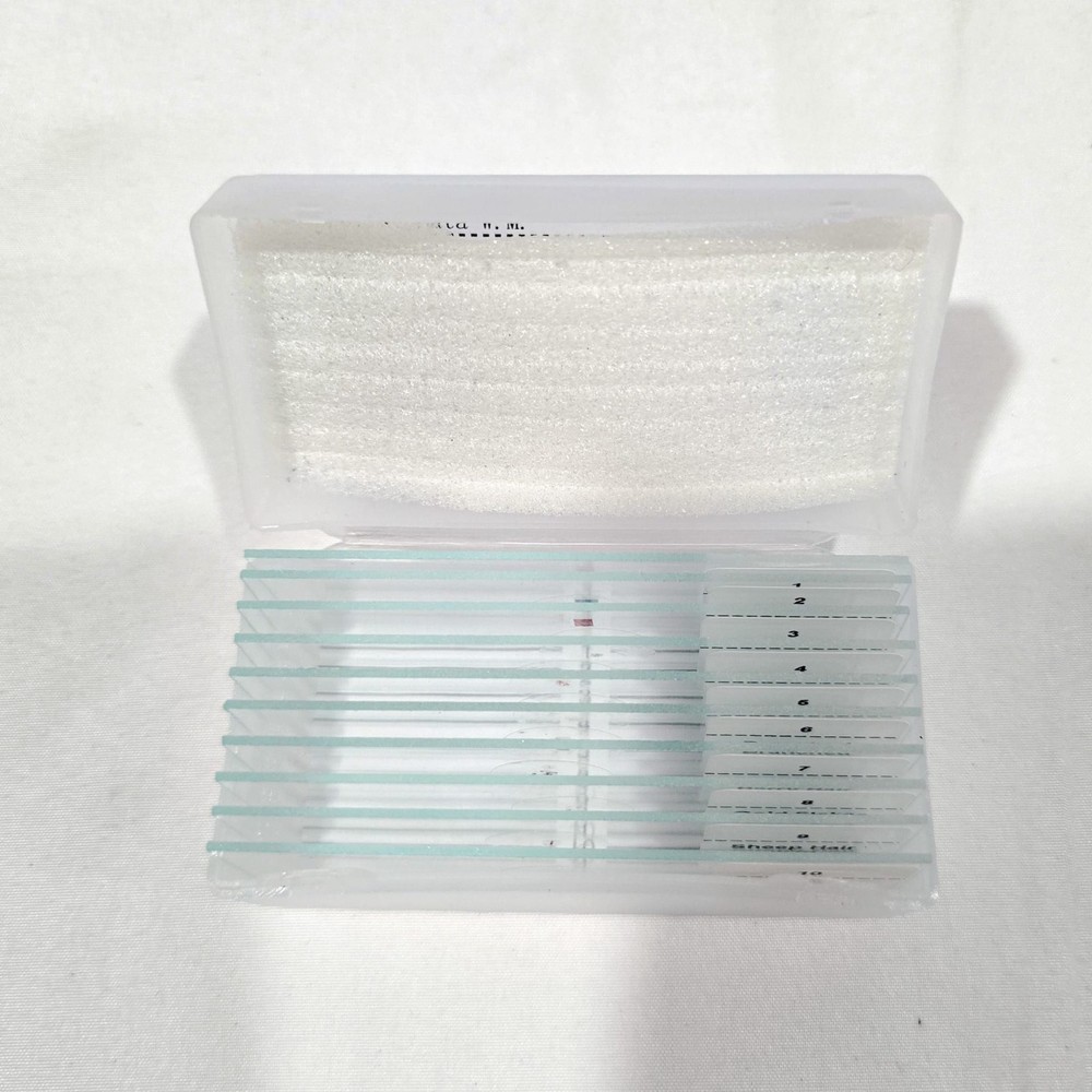 YJ-24B Optical Binocular Microscope (B2)