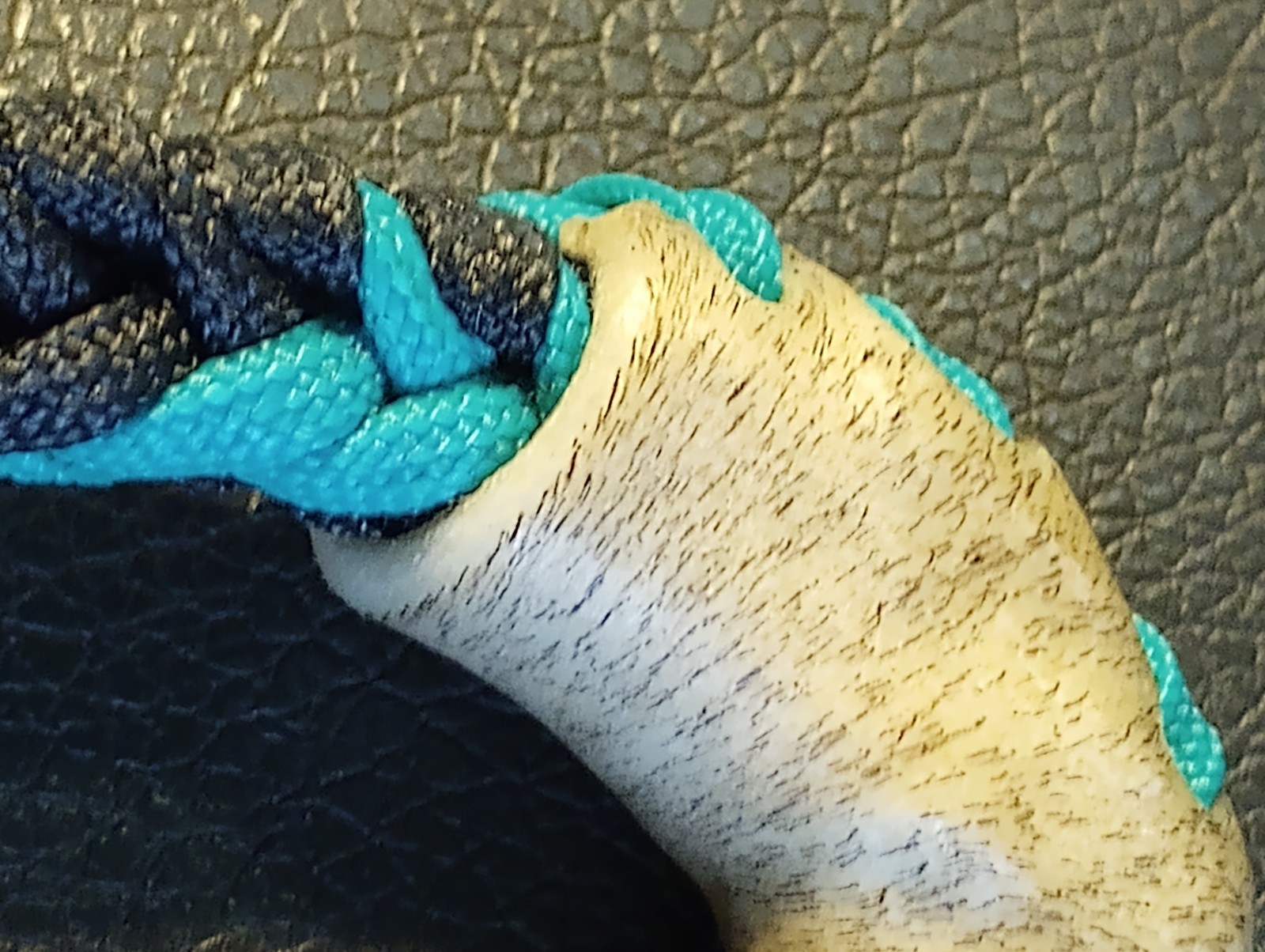 TURQUOISE n BLACK 10 Plait Pryor ParaCord Hondo w/ Bull Rawhide Burner Buckaroo