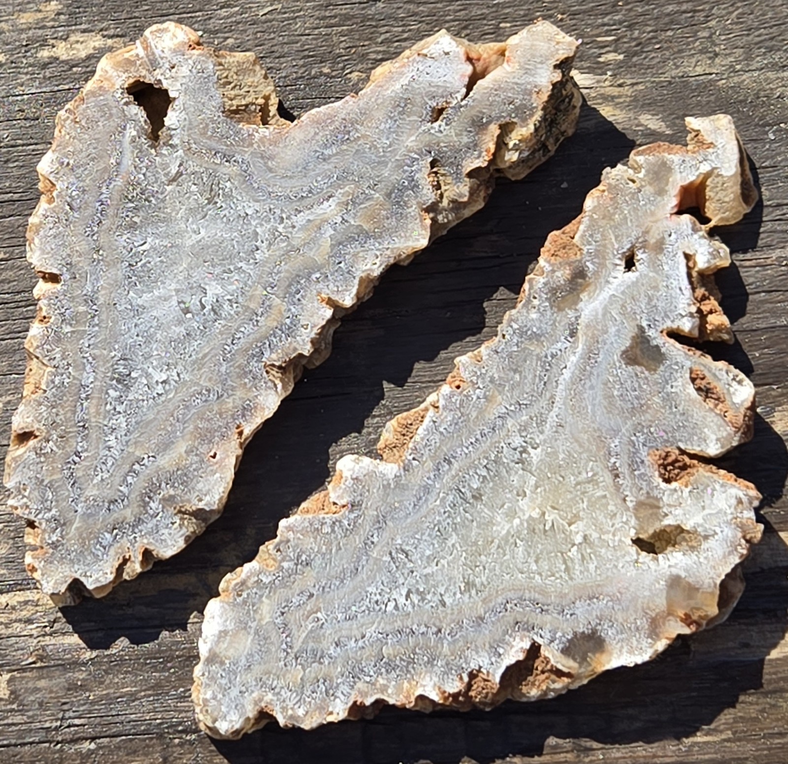 Turkish Agate Slabs Slices From One Stone Matching Lapidary Unique