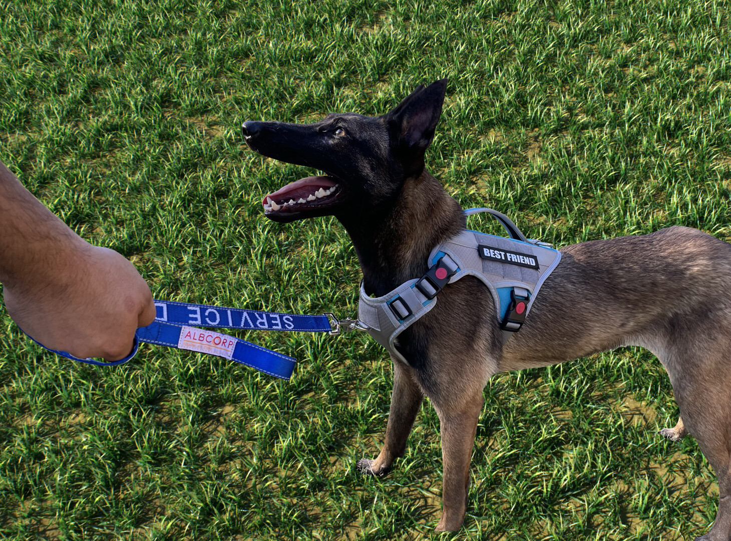 ALBCORP Tactical Dog Vest Harness – No-Pull Service Dog Vest – for Training