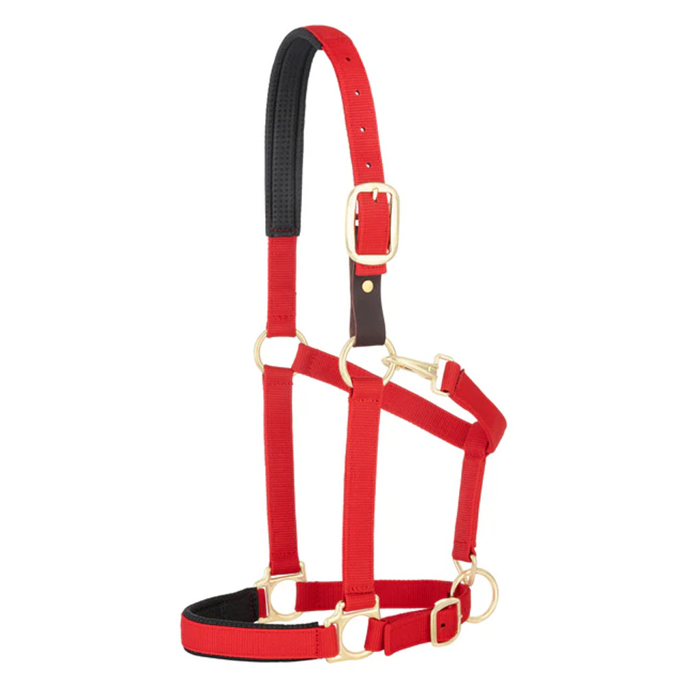 35-6075-RD Weaver Leather Padded Breakaway Adjustable Snap Halter Solid Red NEW