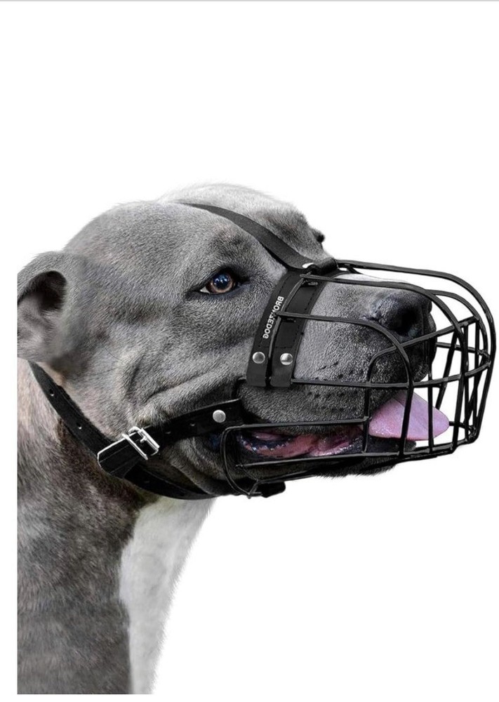 Dog muzzle large Black