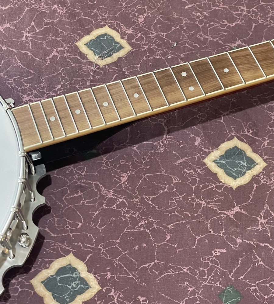 Rogue B30 5-String Banjo Easy Project