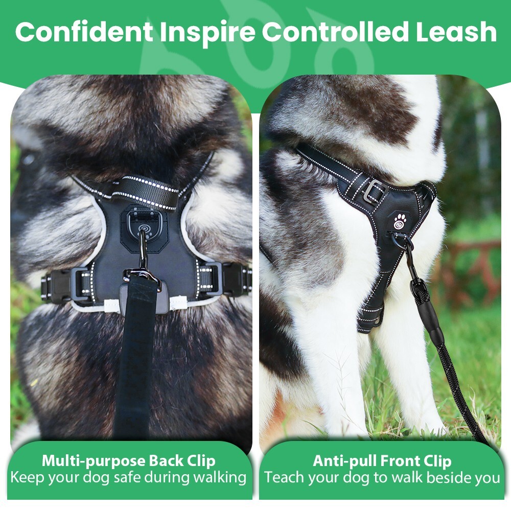 No Pull Light Up LED Dog Harness with Reflective Strips, Padded Breathable Mesh