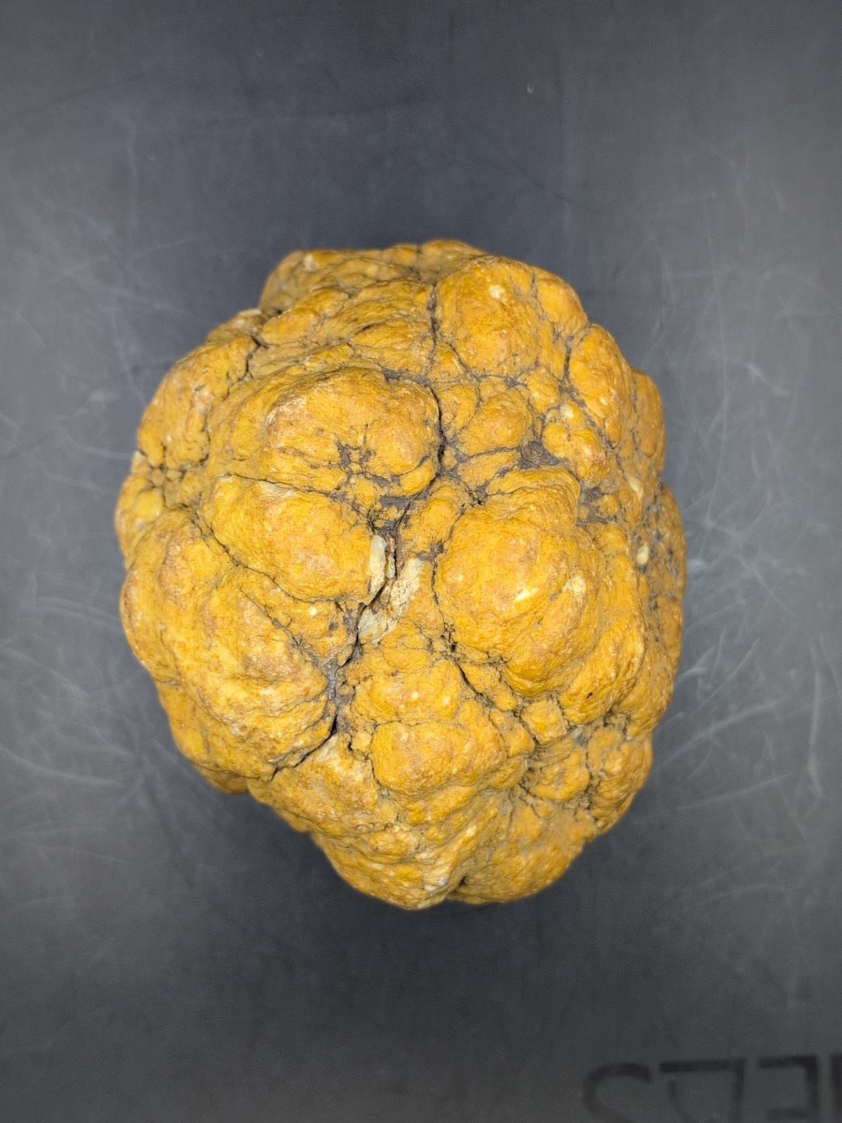 Large Quartz Nodule Concretion 5 lb Botryoidal Milky Quartz Mineral Specimen