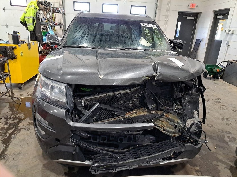 2016 Explorer Jack Sku#4361707